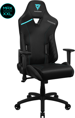 Игровое кресло ThunderX3 TC3 MAX Jet Black