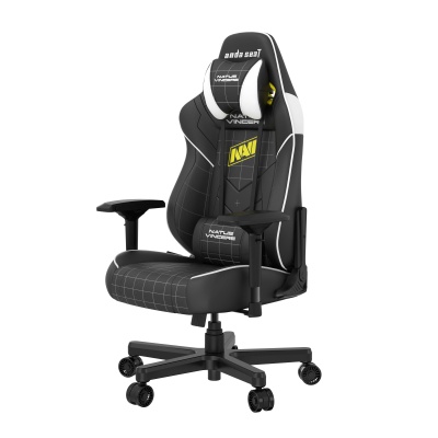 Компьютерное кресло AndaSeat x NAVI Black (AD19-04-BW-PV)