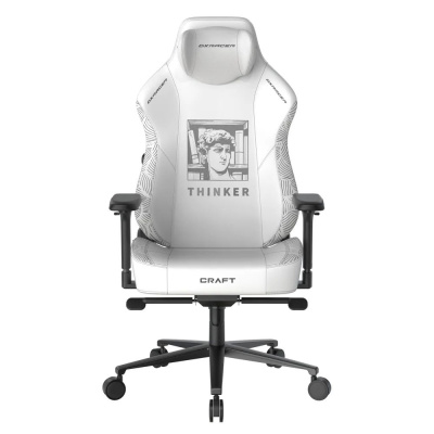 Компьютерное кресло DXRacer CRA/DL5000/THINKER
