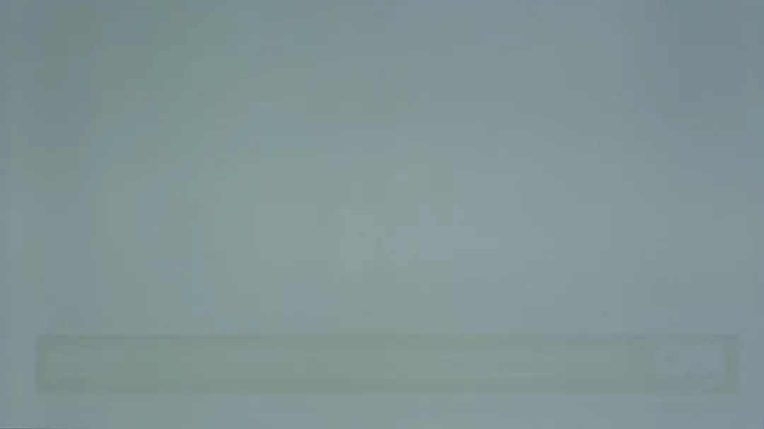 История OLED от LG Display