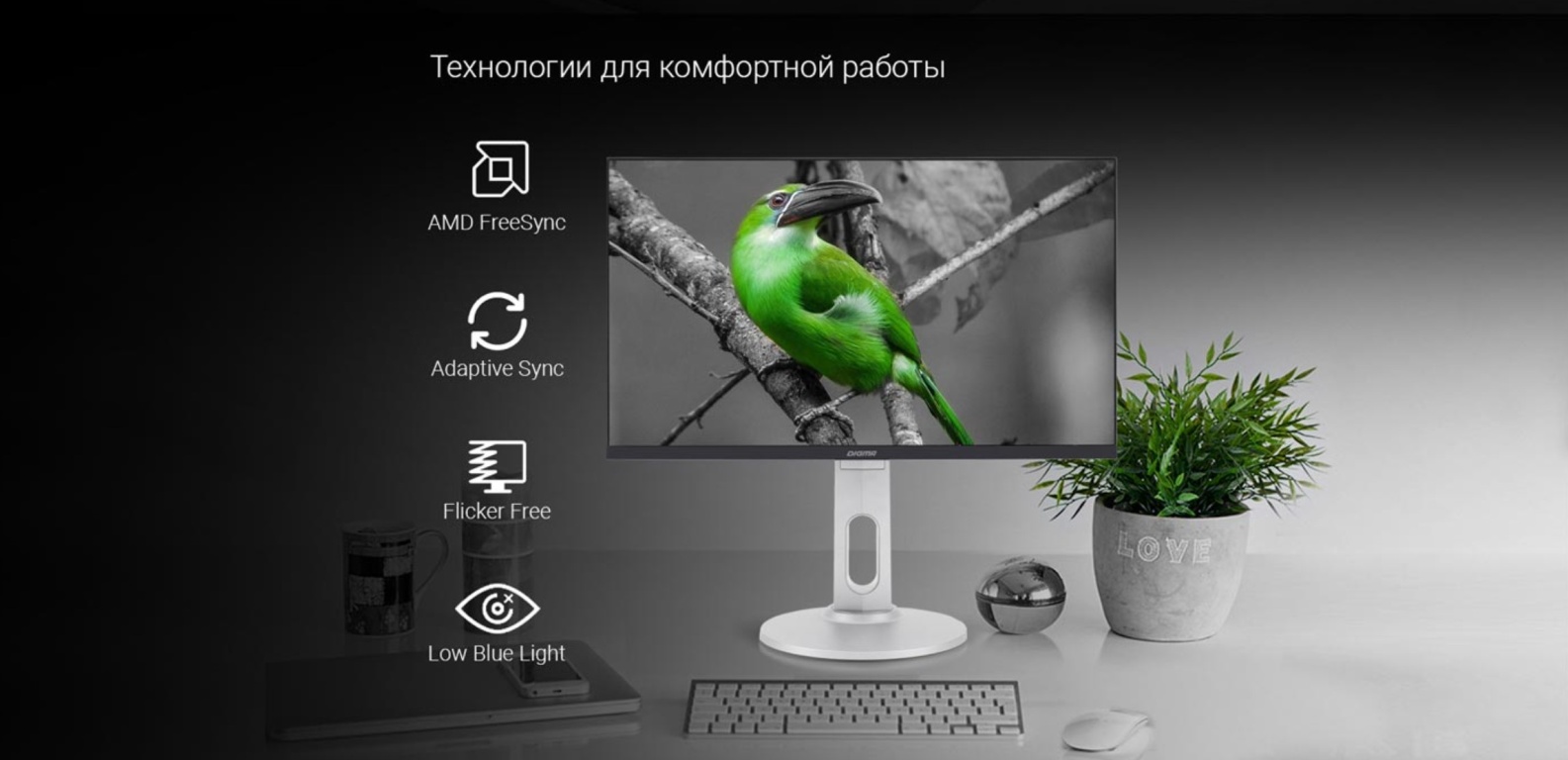 Монитор DIGMA DM-MONB2408