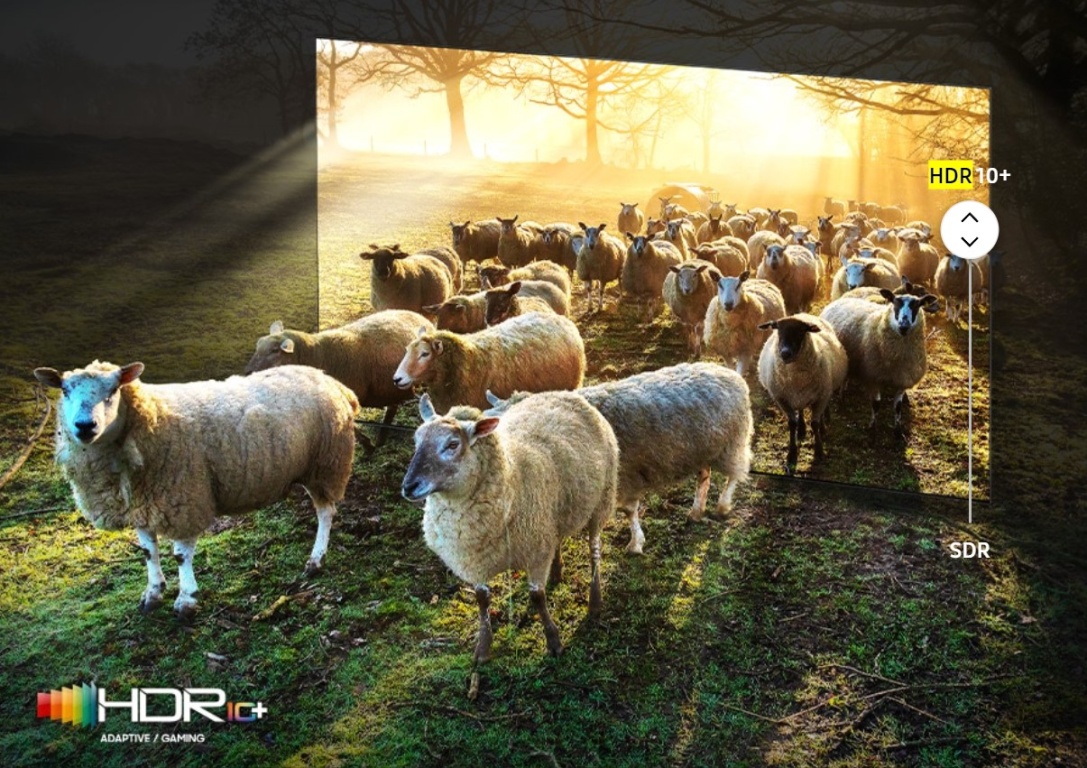 Телевизор Samsung QE85QN900BUXCE