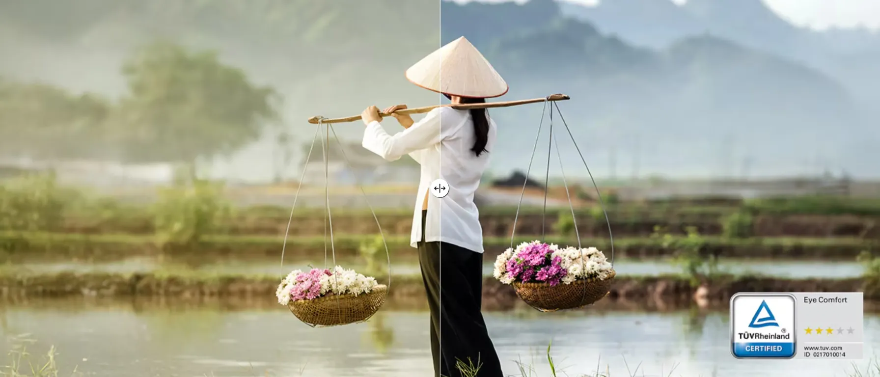 Монитор Dell SE2426HGS