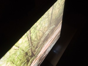 96_glow1.jpg
