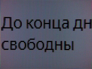 142_text3.jpg
