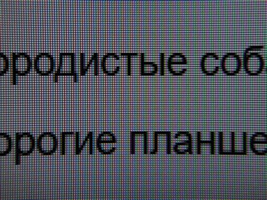 143_text3.jpg