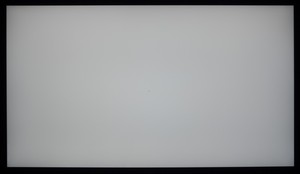 106_ravn_gray1.jpg