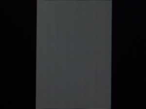 104_shim100.jpg