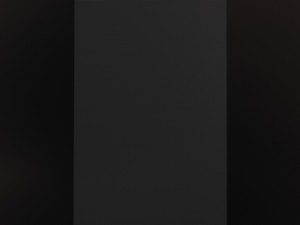 113_shim0.jpg