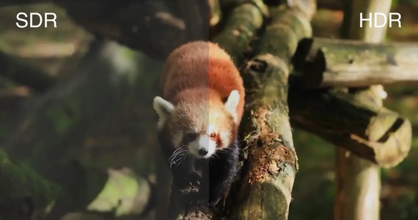 Монитор Eizo ColorEdge CG2700X