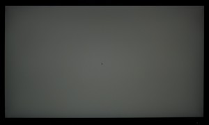99_ravn_gray3.jpg