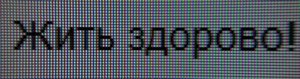 116_text2.jpg