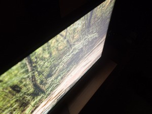 113_glow1.jpg