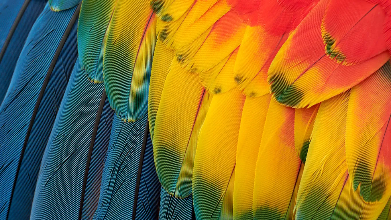 Монитор Dell S2725QS