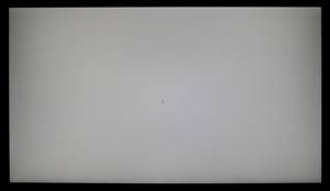 116_ravn_gray1.jpg