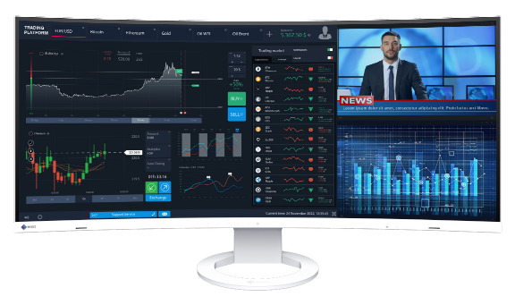 Монитор Eizo FlexScan EV3895-WT