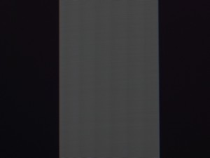 111_shim100.jpg