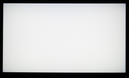 129_ravn_white.jpg