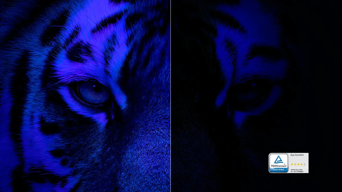 Монитор Dell P2426H