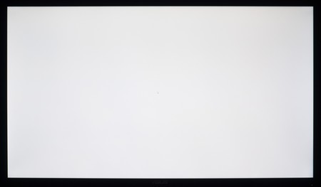 101_ravn_white.jpg