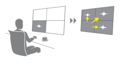 EIZO FlexScan EV2451