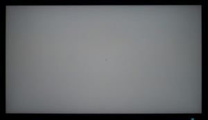 114_ravn_gray2.jpg