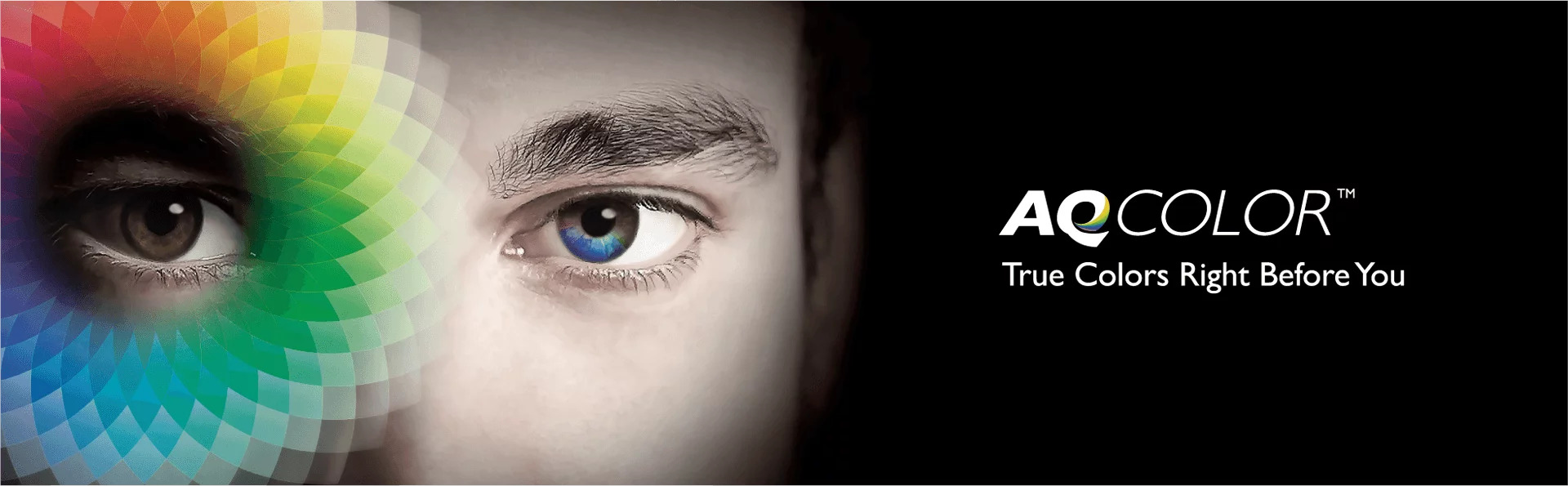 Монитор BenQ BL2420PT