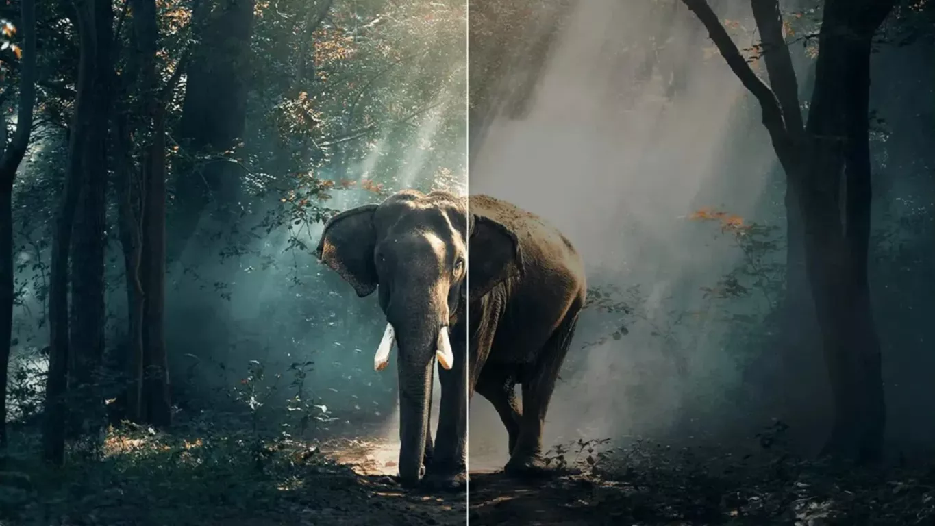 Телевизор TCL 65C7K