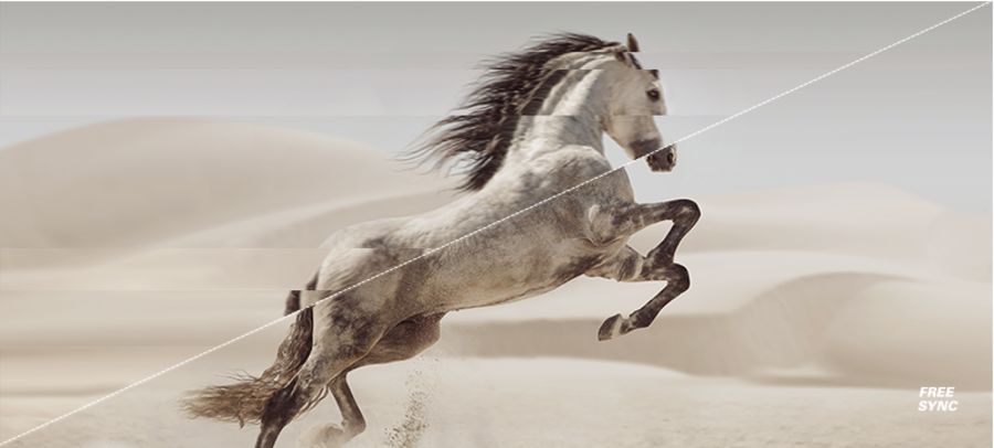 https_2F2Faoc-pim.s3.amazonaws.com2Fcorporate2FFeature hero 22Fhero2-freesync.png