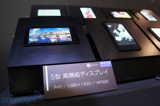 11_pic11.jpg