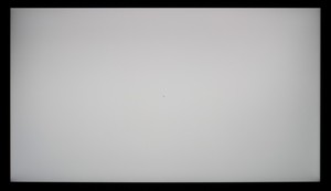 112_ravn_gray1.jpg