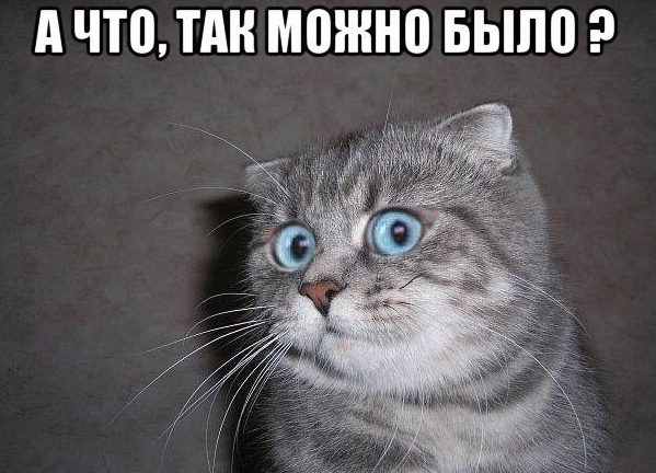 cat.png