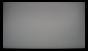 113_ravn_gray2.jpg