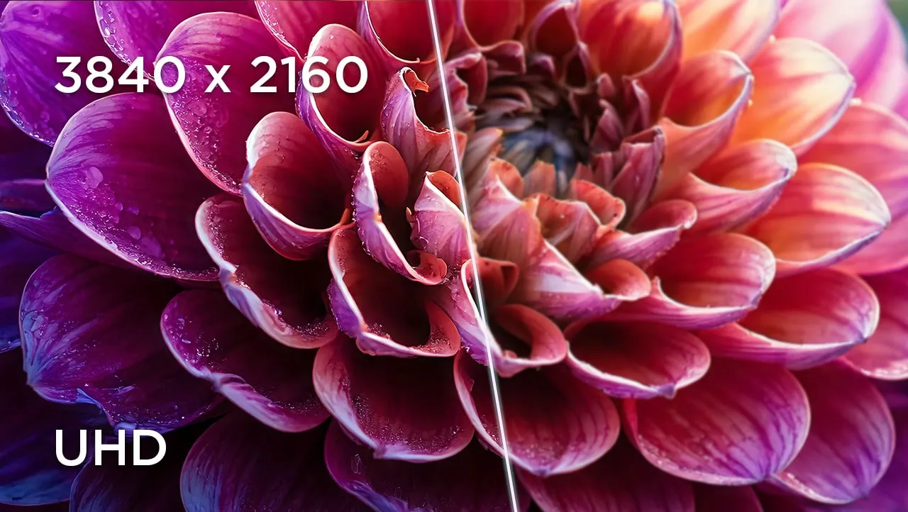 Lenovo ThinkVision P32UD-40