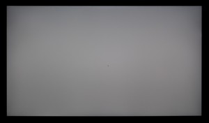 105_ravn_gray2.jpg