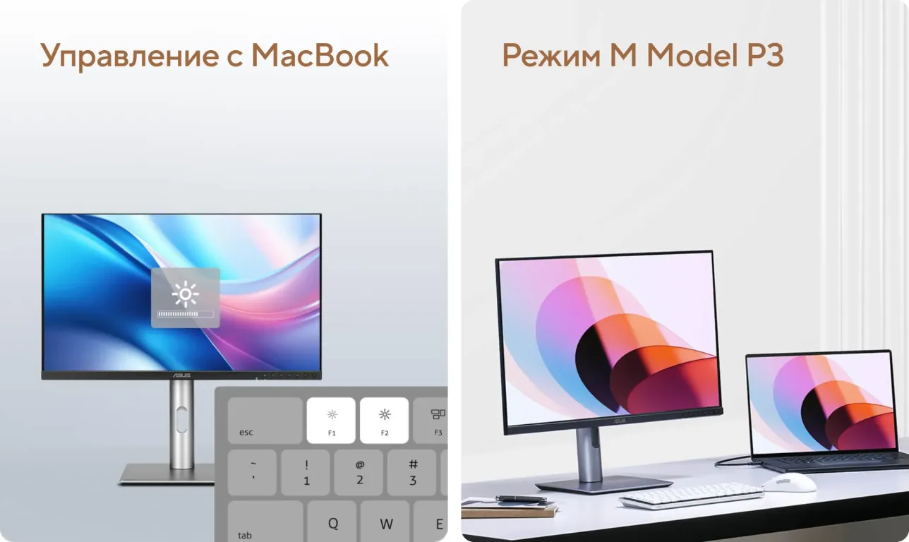 ASUS ProArt PA249CGV