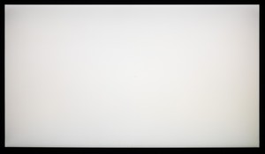 131_ravn_white1.jpg