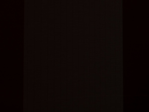 Обзор монитора Dell Alienware AW3423DWF