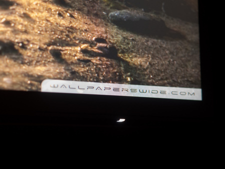 Обзор монитора Dell U3223QE