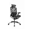 Премиум эргономичное кресло GT Chair Dvary X Pro, чёрный (GTC-Dvary-X-PRO-BK) - фото 3