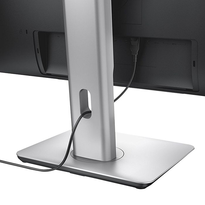 4K монитор Dell P2415Q - фото 4