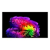 4K телевизор LG OLED97G6RLA - фото 2