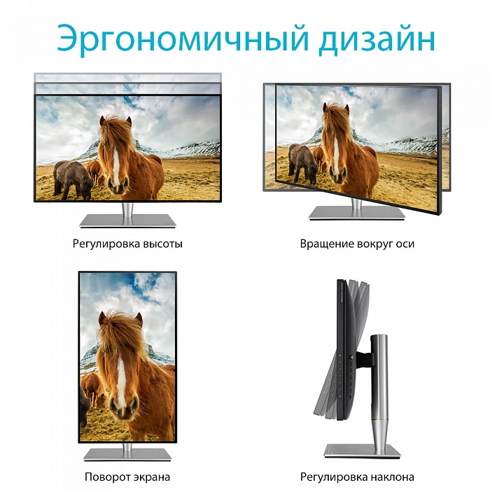 WQHD монитор ASUS ProArt PA27AC - фото 6