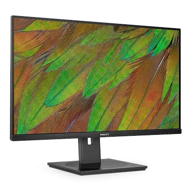 4K монитор Philips 32B1U3900 - фото 2