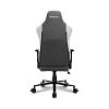 Игровое кресло Sharkoon Skiller SGS30 (SGS30-F-BK/GY) - фото 3