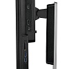 4K монитор BenQ PV3200PT - фото 5