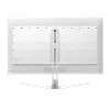 4K QD-OLED монитор Philips Evnia 32M2N8800 - фото 3