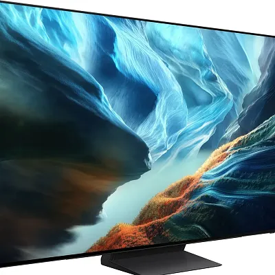4K телевизор Samsung QE65S90HAEXPY - фото 2
