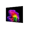 4K телевизор LG OLED97G6RLA - фото 4