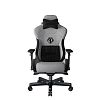 Компьютерное кресло AndaSeat T-Pro 2, серый (AD12XLLA-01-GB-F) - фото 1